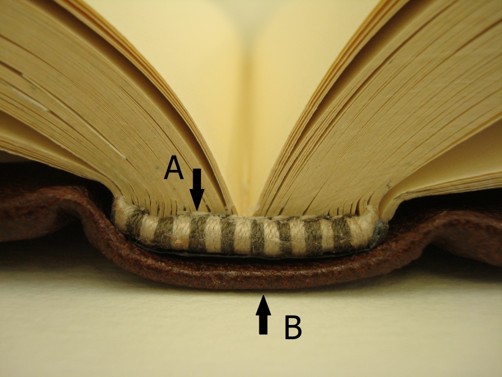 Tension and compression layers in a binding: the tension and compression principle applies to any open book, regardless of the binding type. Photography by Paula Steere.