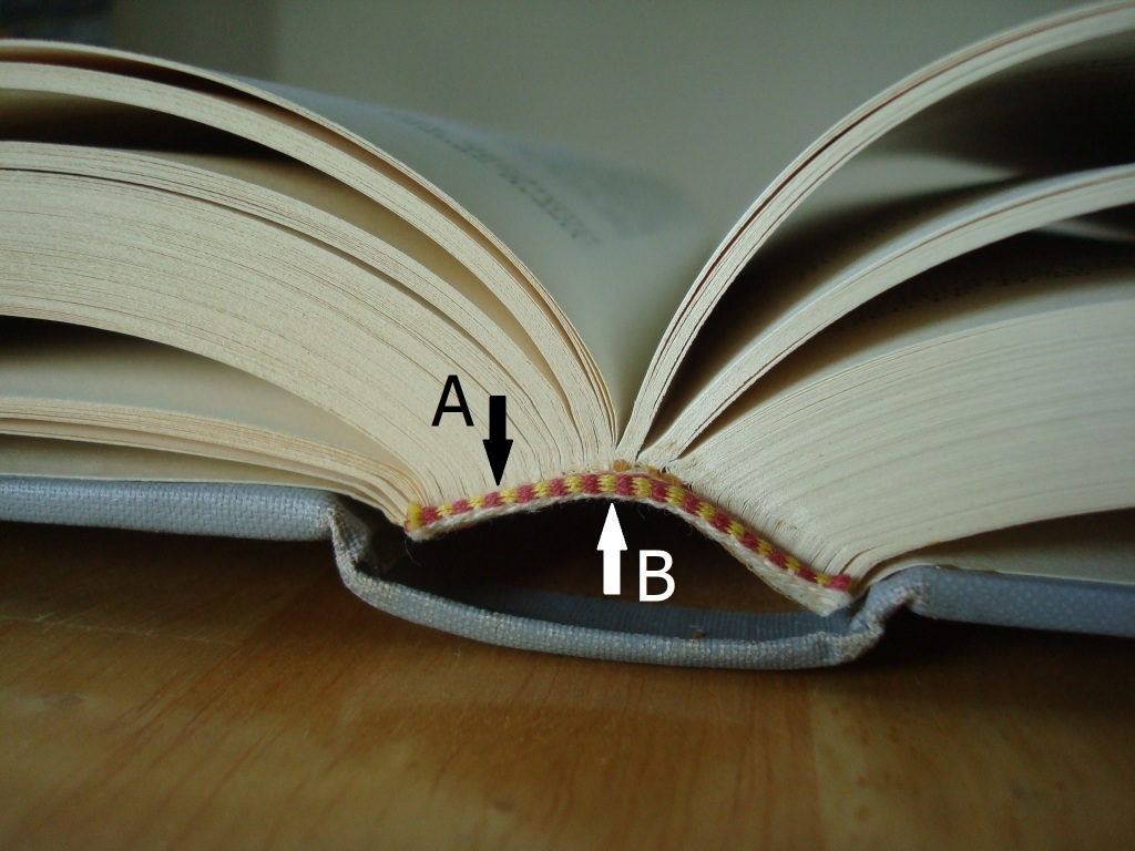 Tension and compression layers in a binding: the tension and compression principle applies to any open book, regardless of the binding type. Photography by Paula Steere.