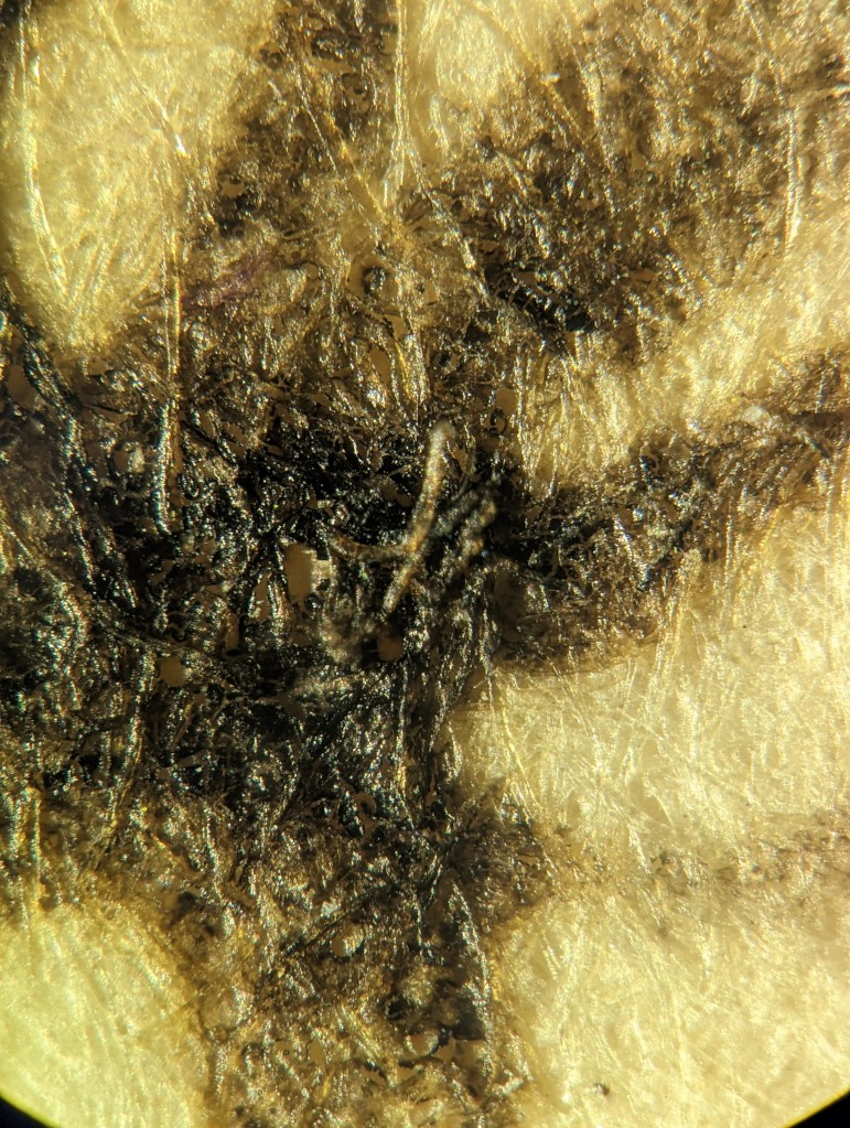 Fig. 2 – View of iron corrosion. 5x magnification.