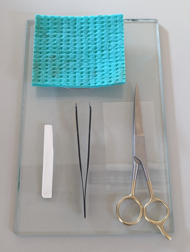 Fig. 3 – Assembly of tools: a damp sponge, indicator paper, tweezers, thin polyester film and scissors.