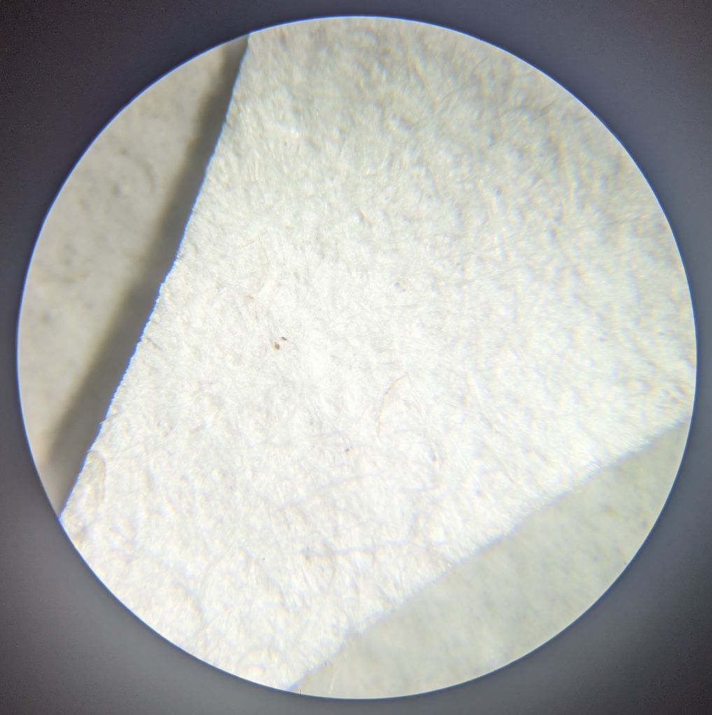 Fig. 7 – Results of tideline testing, 3.5x magnification.